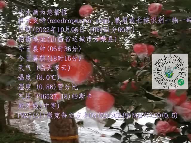 8cfd960e6b4a910dbb1d0699c1b1652b.mp4