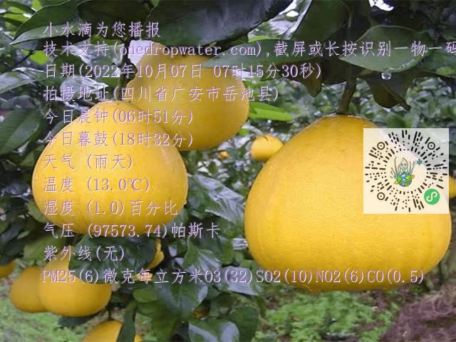 9f39d7d4e40f5547f9f476f959bff4f0.mp4