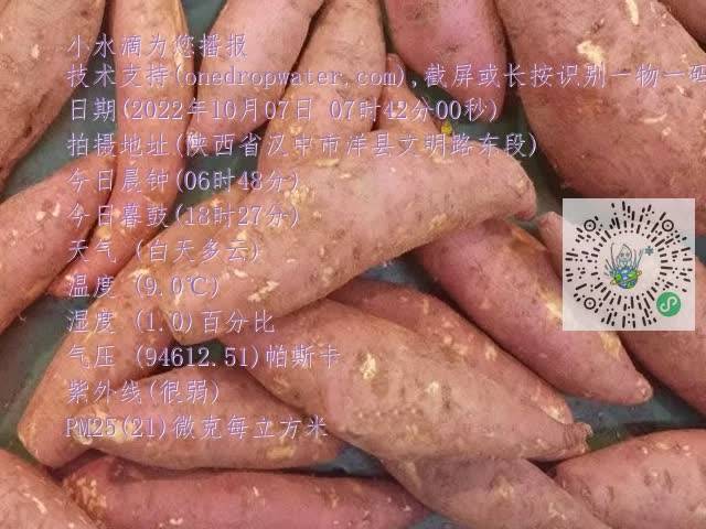 0.mp4