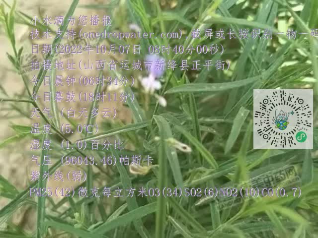 0.mp4