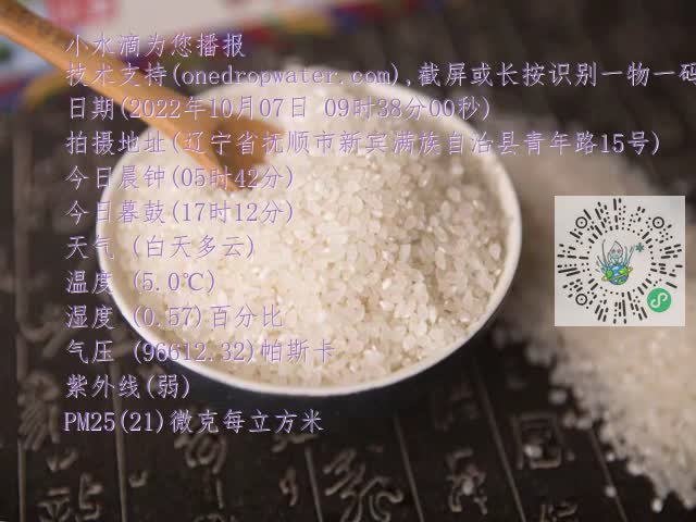 0.mp4