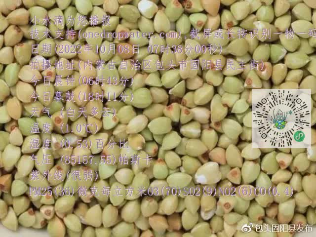 0.mp4