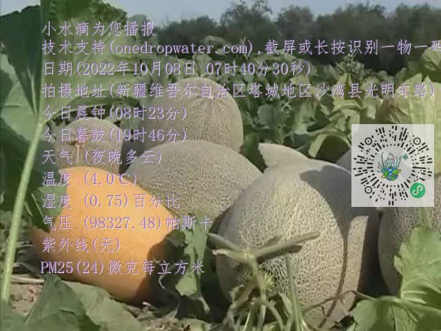 0.mp4