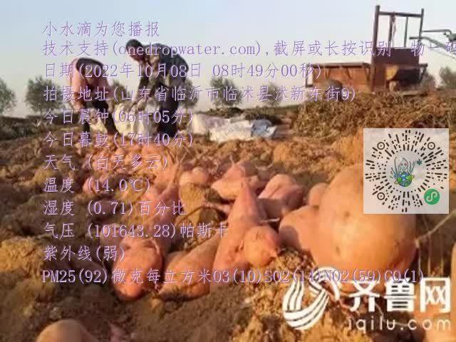 0.mp4