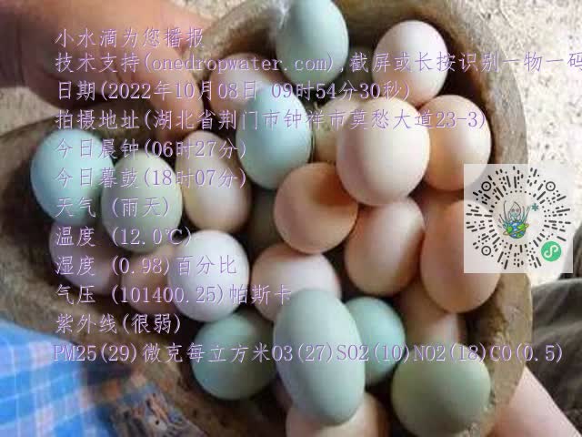 0.mp4