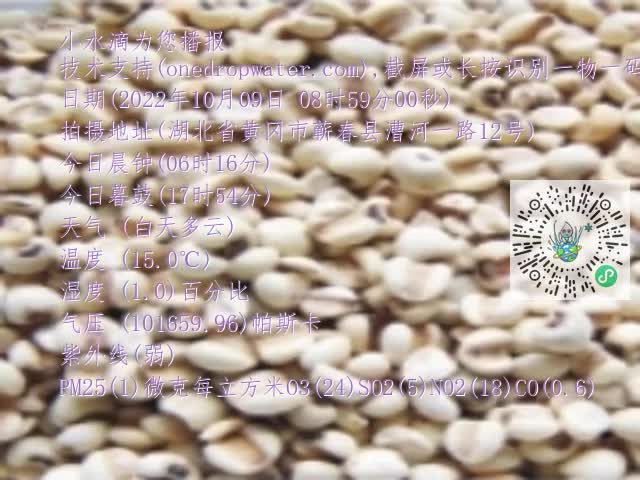 0.mp4