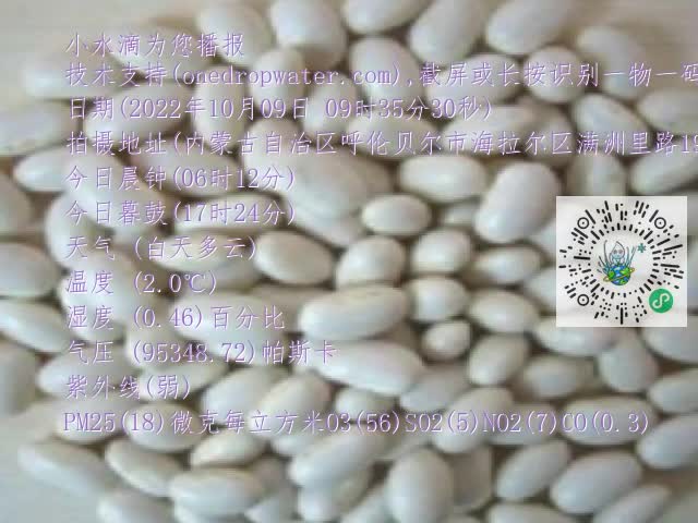 0.mp4