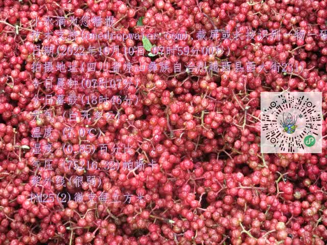 0.mp4