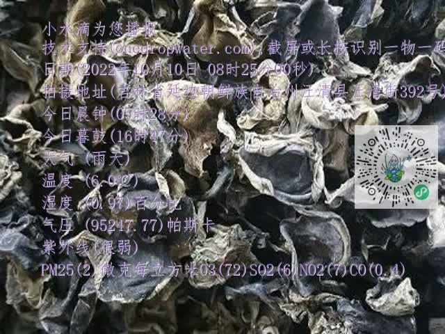 0.mp4