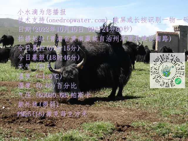 0.mp4
