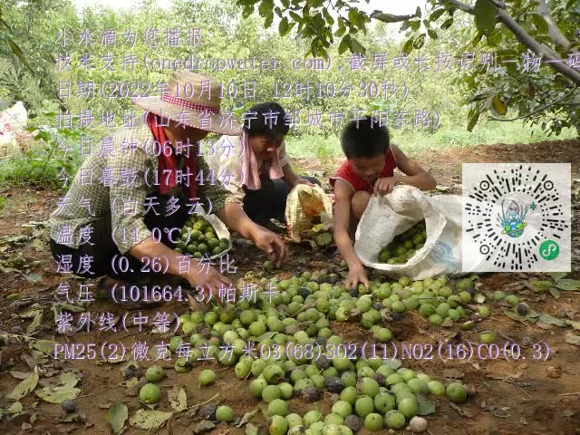 0.mp4