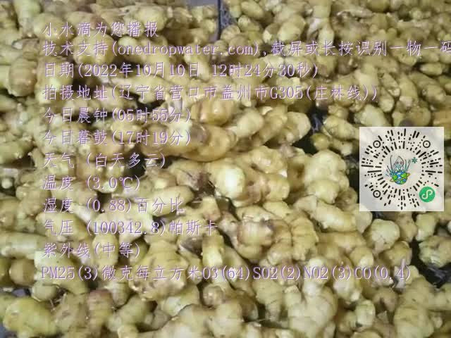 0.mp4