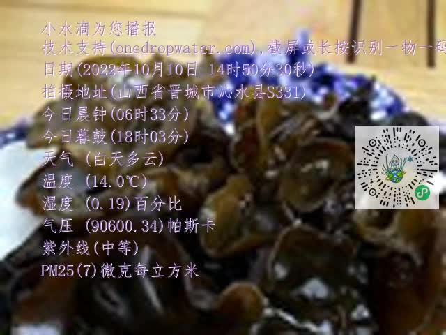 0.mp4