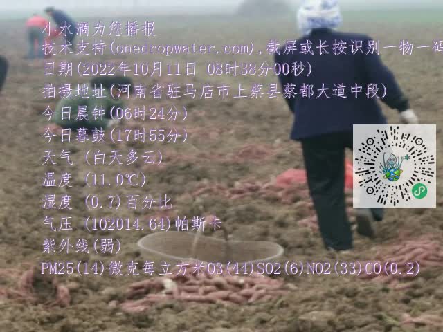 0.mp4