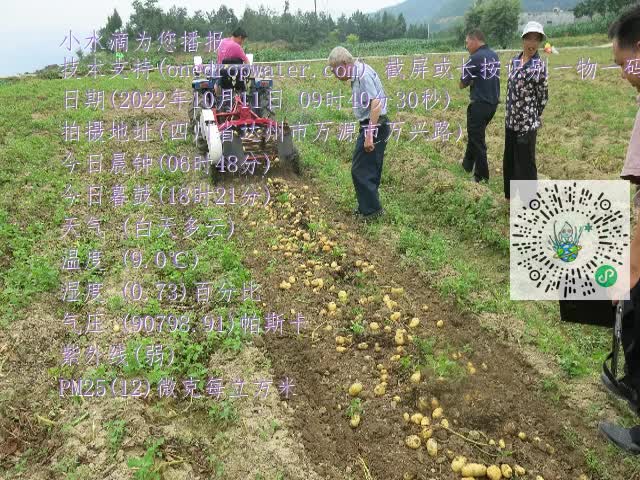 6f7b9373f31fa2dd0283bbe596efd9e2.mp4