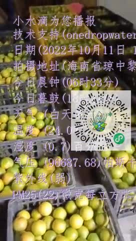 FtFNie7E2YTBu9dnwANztYNNMdXNmp4