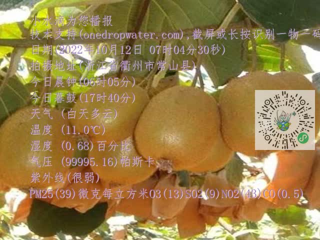 cf396d90520328060e002c0381a78e2e.mp4