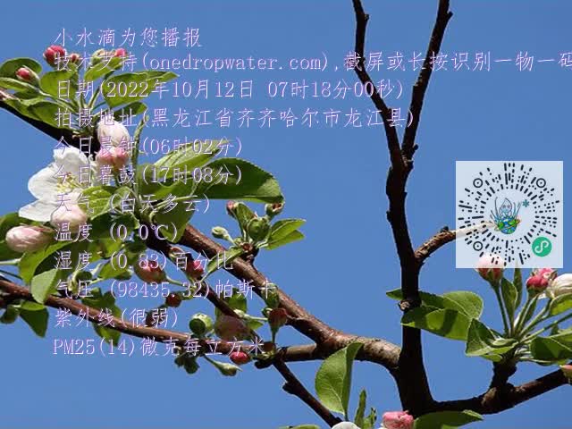 d77827fd2f4aa417a715d1dc90323eb3.mp4