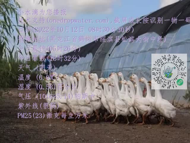 0.mp4