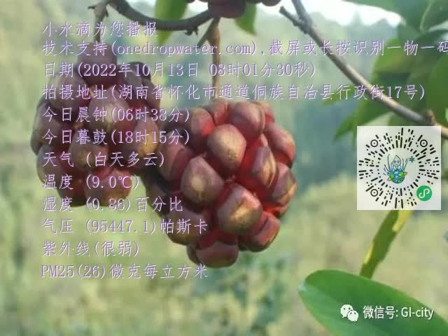 0.mp4