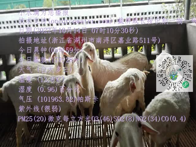 0.mp4