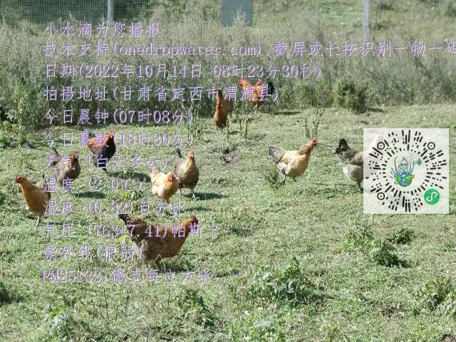 0.mp4