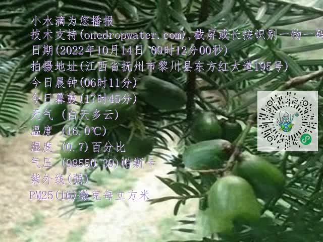 0.mp4