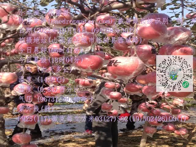 0.mp4