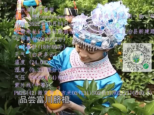 dd8090a4e4d4c7718ed15ab6692d8051.mp4