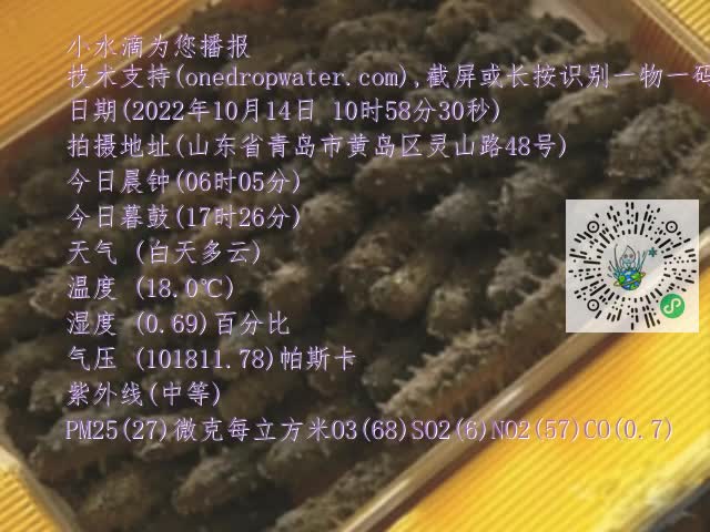 0.mp4