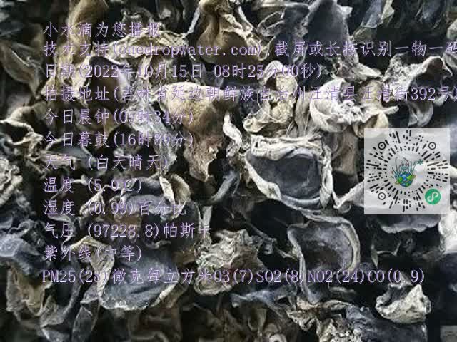 0.mp4