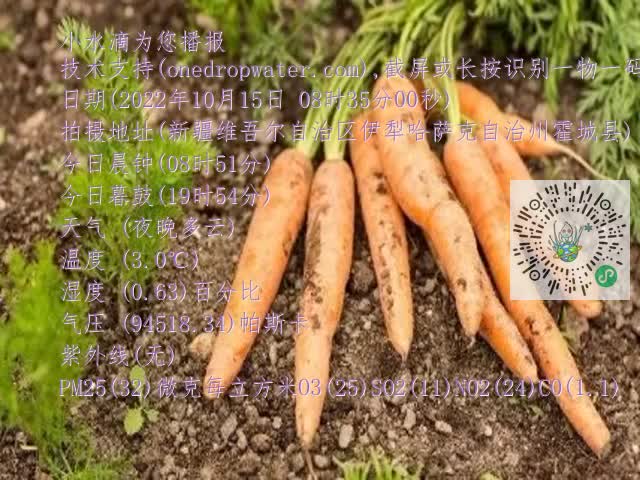 0.mp4