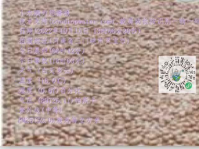 0.mp4