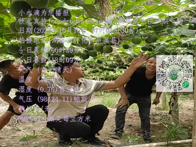 98614f292e58f9664449f9b10834ff52.mp4