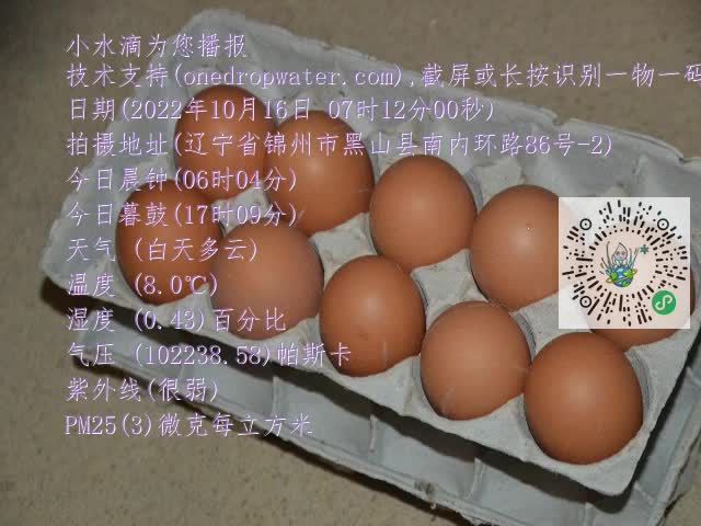 0.mp4