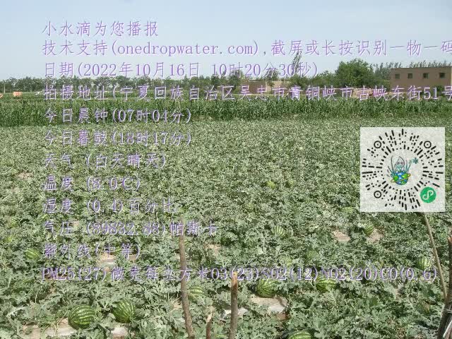0.mp4