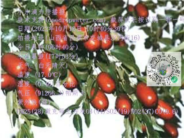 0.mp4