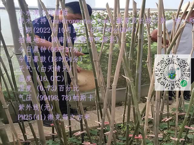 1ca5315187c7915aedcb62a0d18b756b.mp4