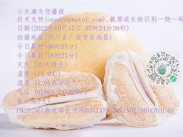 39b012b72081a8c328a6d4b6c17a3612.mp4
