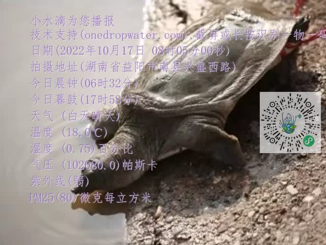 0.mp4