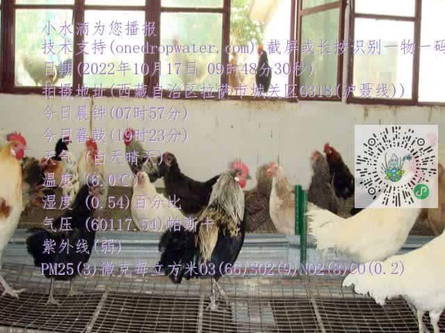 0.mp4