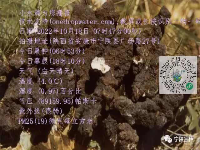 0.mp4