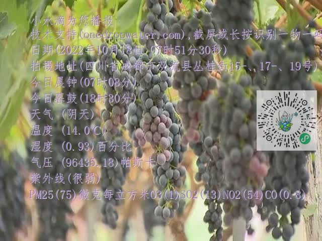 0.mp4