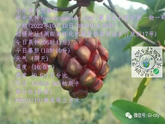 0.mp4