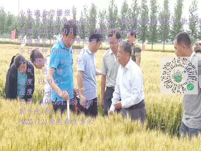 0.mp4