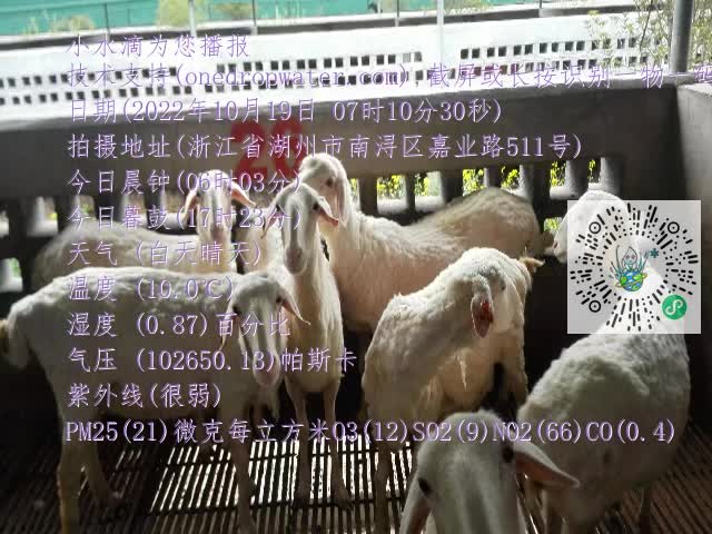 0.mp4