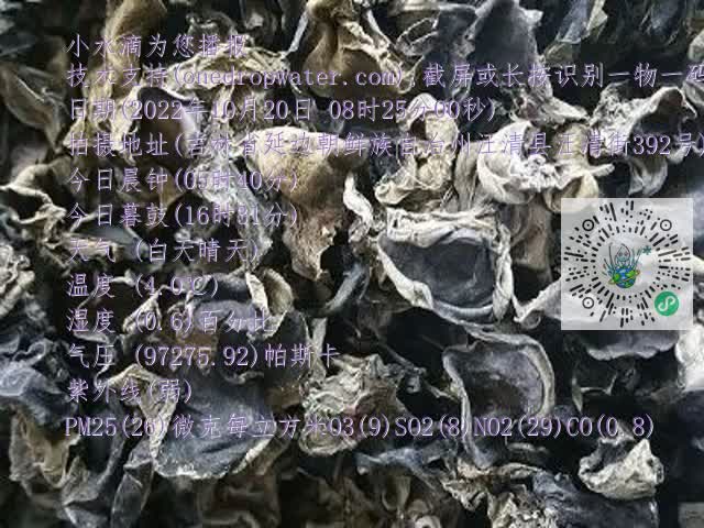 0.mp4