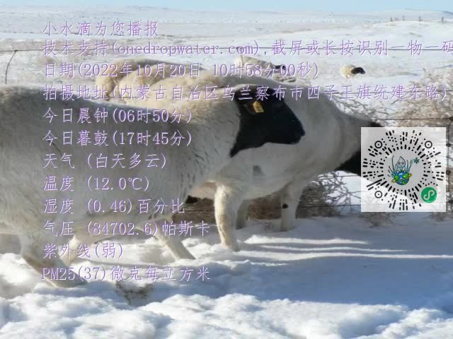 0.mp4