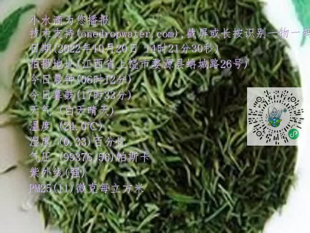 0.mp4
