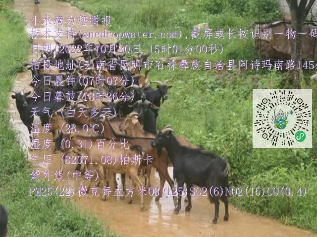 0.mp4
